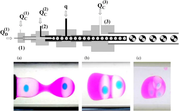 Figure 10. (Top) Device used to fabricate triple macro-emulsions. (Bottom) Images of various  fabricatedW/O/W/Omacro-emulsions from reference 21