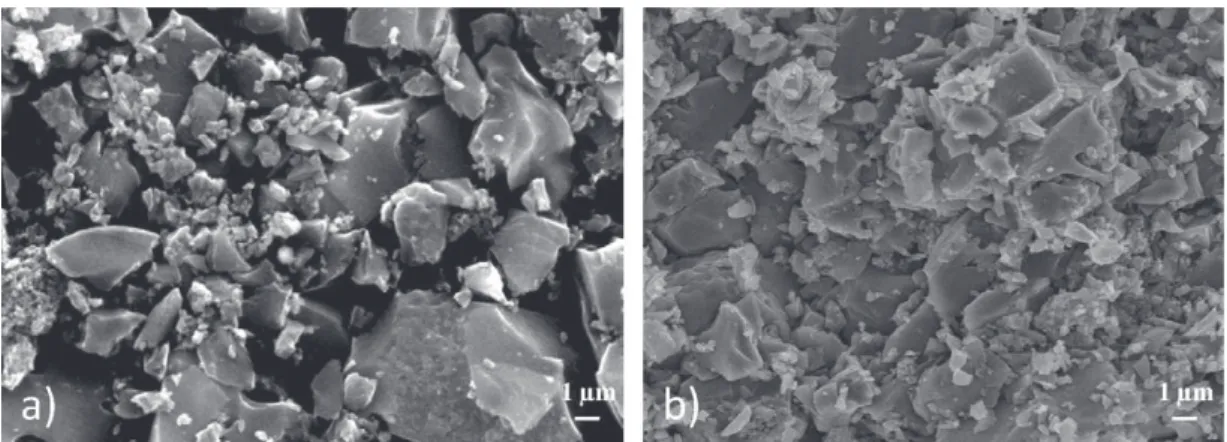 Fig. 5. FEG-SEM of an activated carbon film (a) obtained using the conventional casting route, and the composite electrodes (b) AC-15%PTFE.