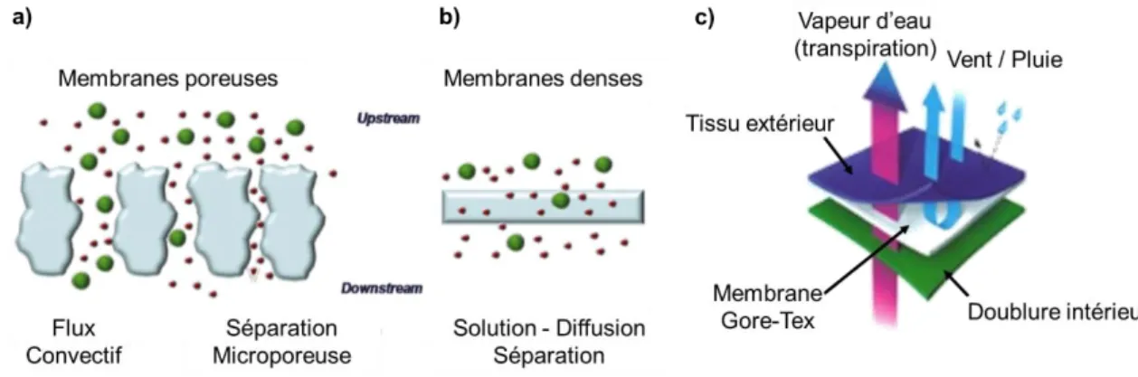Figure 1.5 : Mécanisme de transport des flux hydriques dans les membranes poreuses a) et denses b)  [31] et représentation d’une membrane imperméable et perspirante (GORETEX) c)