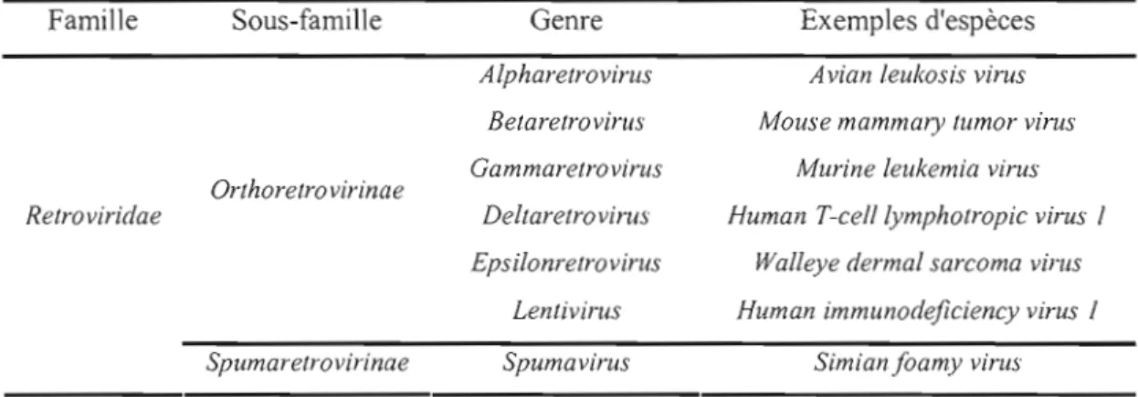 Tableau  1.1  :  Classification  des  rétrovirus  selon  le  comité  international  de  taxonomie  des 