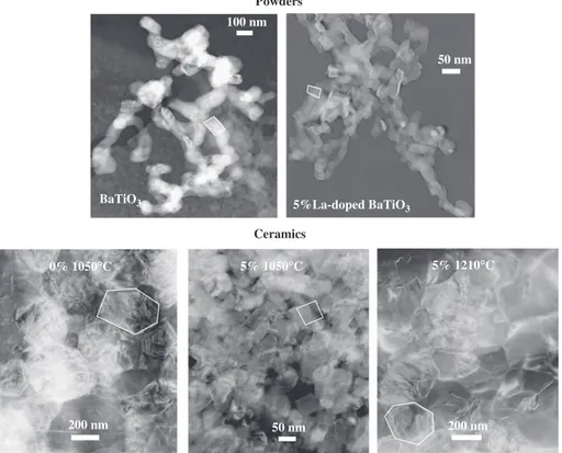 Fig. 2. TEM images of BaTiO 3 and Ba 0.95 La 0.05 TiO 3 powders (top left and right, respectively) prepared by the oxalate route