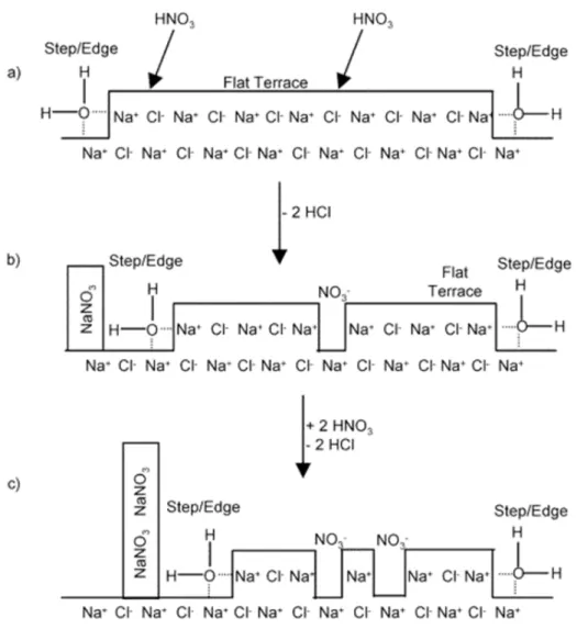 Figure I-8. Schematic diagram for reaction of HNO3 and NaCl crystal 107