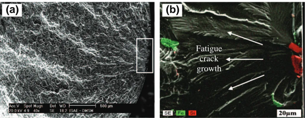 Fig. 9. (a) SEM image for machined specimen at low magnification showing crack initiation site and (b) EDS analysis of (a) showing cracking of Mg 2 Si particle and subsequent crack growth.