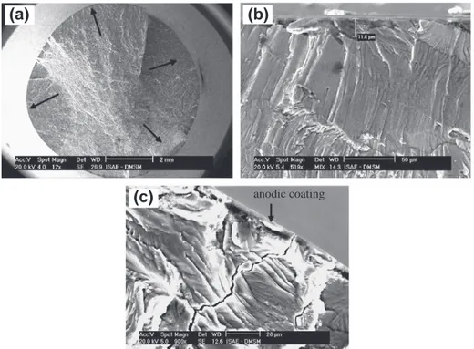 Fig. 12. (a) Multi-site crack initiation for anodized specimen, (b) SEM image showing crack initiation from pickling pit and (c) cracking from anodic coating and subsequent crack growth to substrate.