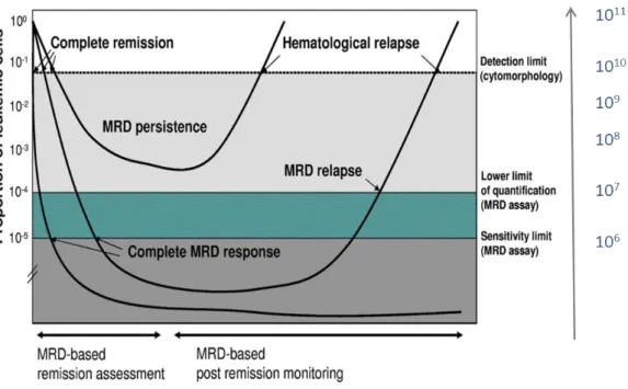 Figure 6 : Exemples de la cinétique de la MRD dans les hémopathies 