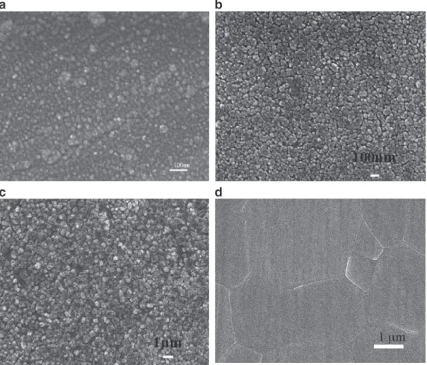 Fig. 9. Microstructure of (Bi 2 O 3 ) 0.75 (Dy 2 O 3 ) 0.25 sintered samples (a) SPS, 500 °C/1 min, (b) 700 °C/2 h, (c) 800 °C/1 h, (d) 900 °C/2 h.