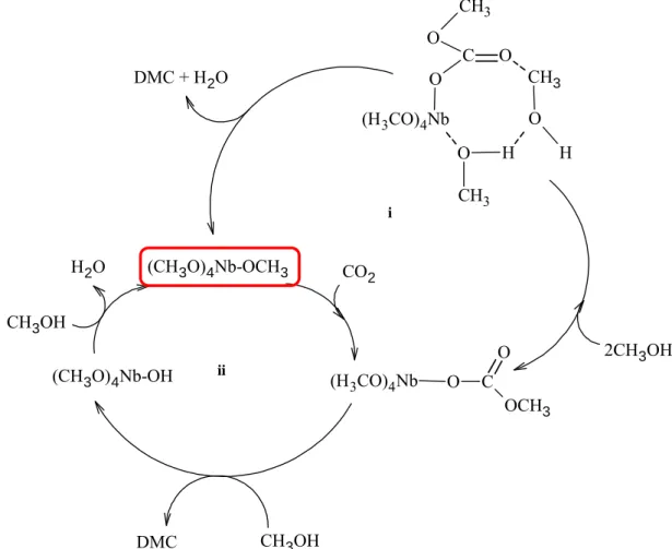 Figure I-27.  Chemin réactionnel proposé par Aresta et al 53  correspondant à la formation  de DMC avec le catalyseur à base de Nb