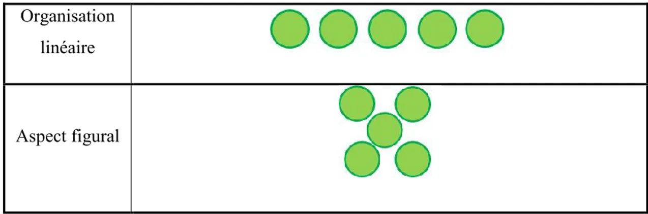 Figure 9 : Présentation de jetons par l‟expérimentateur  Tableau 1 : Organisation de la collection de jetons  Organisation 