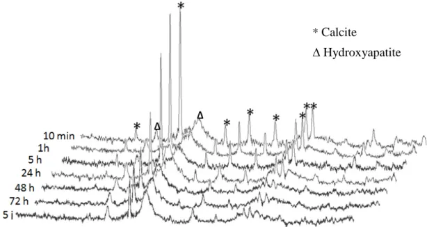 Figure III.26. Evolution des spectres DRX des particules synthétisées avec du CaCO 3 