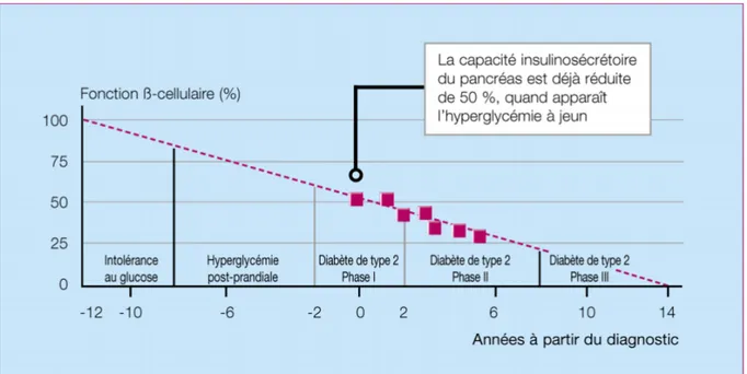 Illustration 1: Diminution de la fonction sécrétoire des cellules Béta(6)