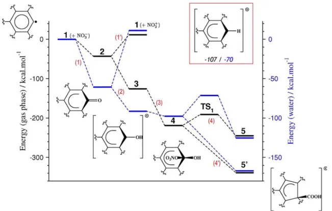Figure III.13.Voies de fonctionnalisation calculées pour le modèle M42* après  oxydation nitrique en phase gazeuse (noir, axe d'énergie à gauche) et dans l'eau 