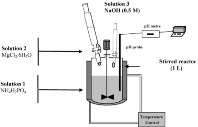 Fig. 1. Schematic view of the experimental set-up used in this study.