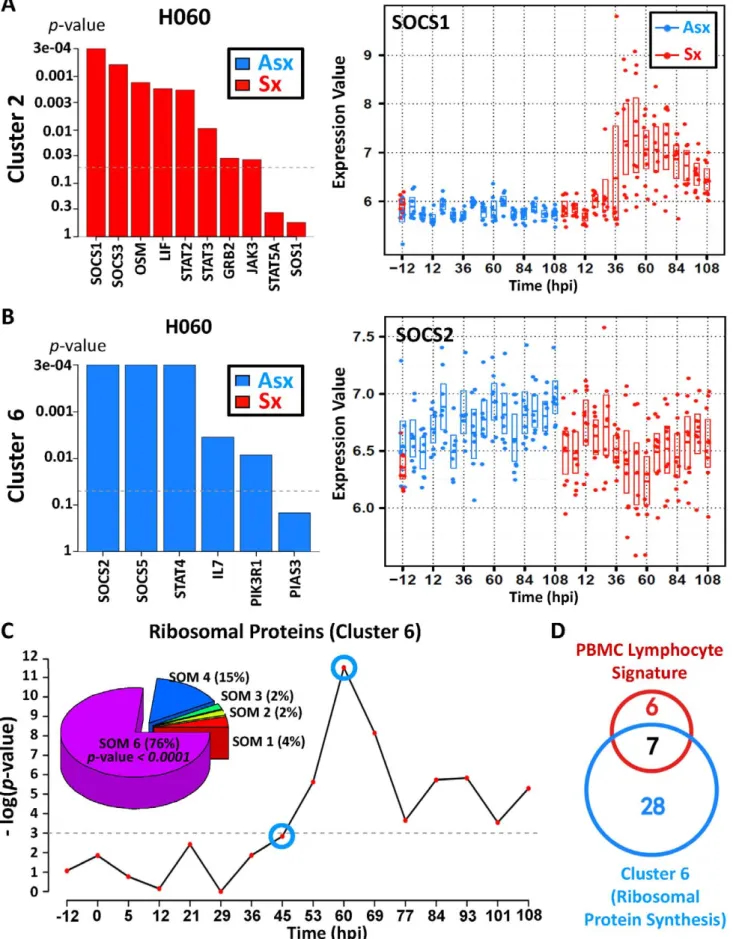 Figure 6. Asymptomatic hosts showed unique temporal expression kinetics of cluster 6 genes related to JAK-STAT signaling transduction and protein biosynthesis