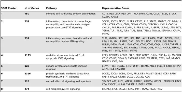 Table 1. Canonical pathways and representative genes enriched in individual SOM clusters.