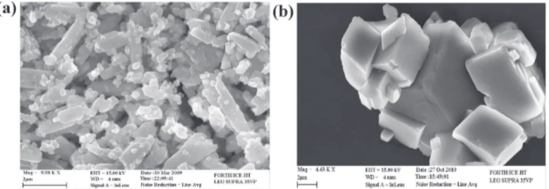 Figure 8. Scanning electron micrographs of (a and b) OCP grown on aragonite-calcite mixture seed crystals and (c and d) OCP grown on calcite seed crystals at constant supersaturation (the insert is a zoom of the overgrown OCP crystals; bar is 200 nm); pH 7