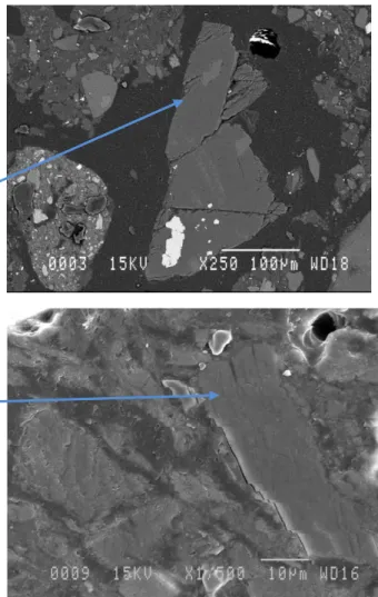 Figure  21 :  La  cartographie  chimique  acquise  au  micro-XRF  montrant  les  zones  riches  en  Mg.