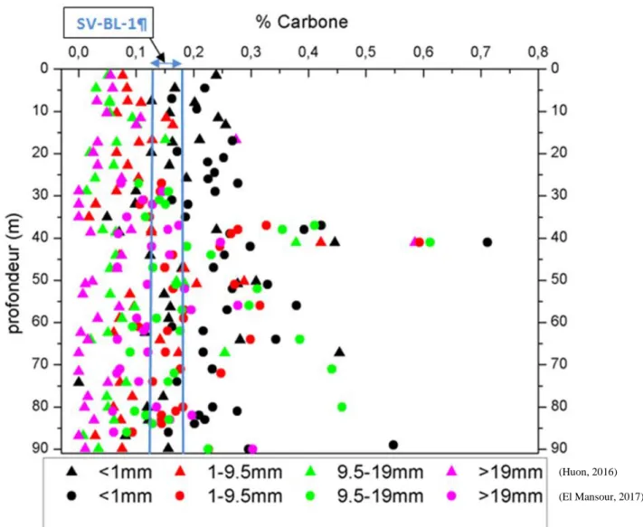 Figure 24 : Comparaison entre le résultat global de la mesure en carbone en fonction de  la profondeur