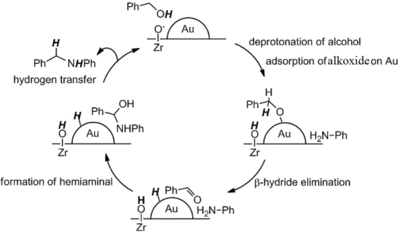 Figure 1-7 Proposed reaction pathway by Ishida et al. for the n-alkylation of aniline with benzyl alcohol  over Au/ZrO 2  (Adapted from ref