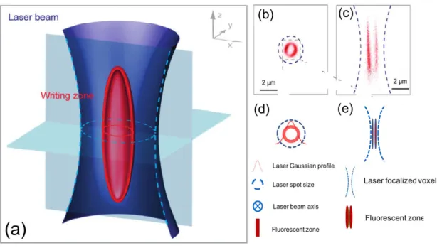 Figure II.25: (a) Sketch of the morphology of the structures following static direct  laser writing (DLW) (b) confocal fluorescence images under UV excitation  ( exc =405nm) of top view (xy) plane, ring shape (c) side view (xz) plane, two  fluorescent lin