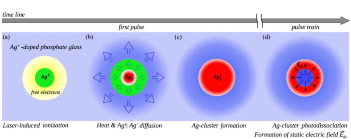 Figure II.26: Scheme of the formation of silver clusters during laser-glass  interaction in silver containing glasses