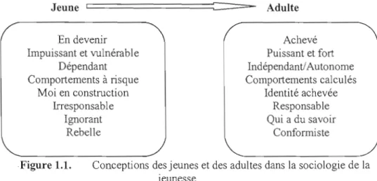 Figure 1.1.  Conceptions des jeunes et des adultes dans  la  sociologie de la  jeunesse 