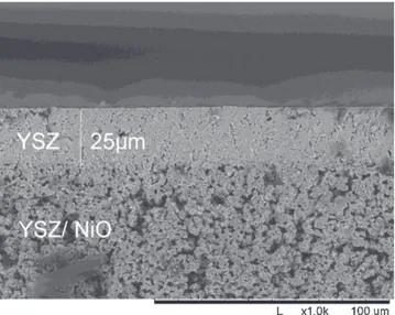 Fig. 5. Cross-section of a YSZ coating deposited on the anode by using the dip- dip-coating technique with an immersion rate of 2.0 cm s −1 and a withdrawal rate of 1.3 cm s −1 .