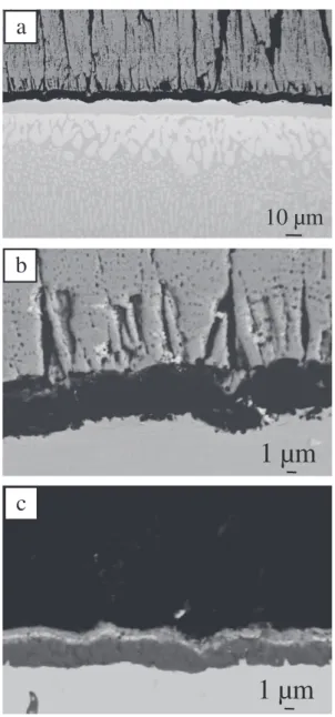 Fig. 6. Subsurface Al and Pt compositions after 1000 cycles.
