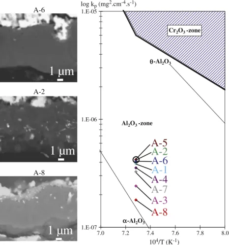 Fig. 8. Arrhenius plot of the parabolic rate constants of oxidation of γ–γ′ (◊) and β-(Ni,Pt)Al (○) coated AM1® .reported with data from literature [52,53] (see text).