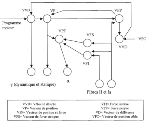 Figure 2  Modèle en vecteur de correction de l'action (traduit de  Cisek et al.  1998