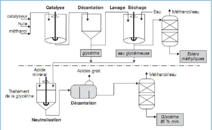 Figure 1-12 :  Schéma de principe d’un procédé batch de transestérification en catalyse  basique 