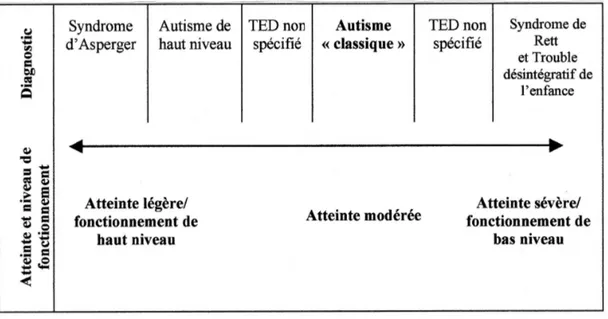 Figure 1: Notion de continuum autistique et de niveau de sévérité (Harrisson. B, 2009)