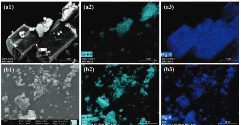 Figure 1. Example of SEM/EDX images for reaction products with 0.1M oxalate. (a): 3 g/L water  case, (b) 250 g/L water  case