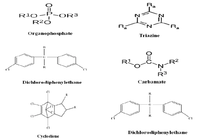 Figure 5 General structure of OPPs, Triazines, Carbamates, Dichlorodiphenylethane and Cyclodiene 