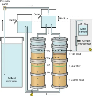 Figure 1 Schematic representation of the experimental device: