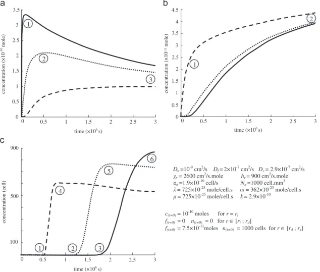 Fig. 2. Evolution with time of concentrations in the periprosthetic zone. (a) Transforming growth factors (TAF, variable c), (b) Fibronectin factors (FF, variable f), (c) Endothelial cells population (variable n)