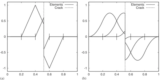 Figure 8. Enriched basis functions for (a) 5 linear finite elements and (b) 5 quadratic NURBS cut at x = 0.45.