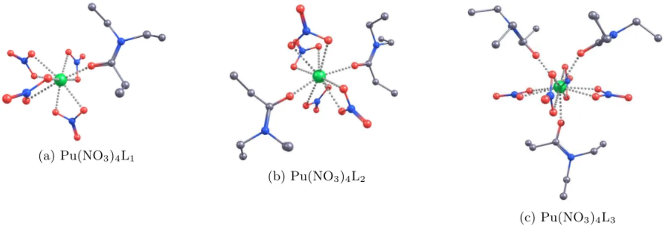 Figure 15 – Structure des complexes considérés pour la détermination par chimie quantique de la stœchiométrie des complexes extraits