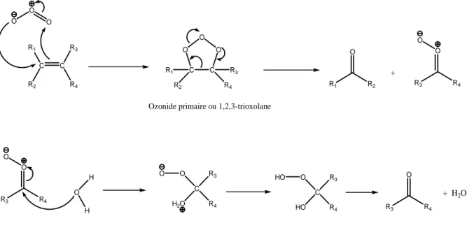 Figure I-10: Mécanisme de cycloaddition 1,3-dipolaire sur une liaison éthylénique en solution aqueuse 