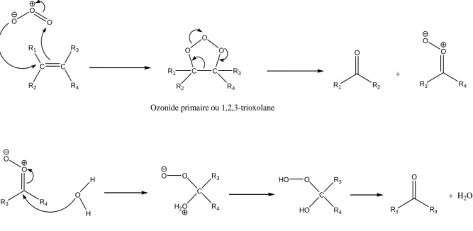 Figure I-10: Mécanisme de cycloaddition 1,3-dipolaire sur une liaison éthylénique en solution aqueuse 
