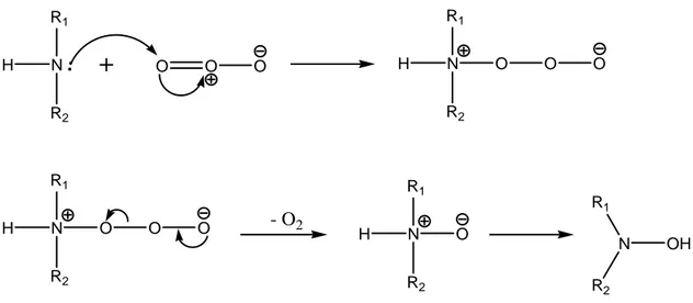 Figure I-19: Formation d'amine-N-oxyde et d'hydroxylamine par ozonation d'une amine. 