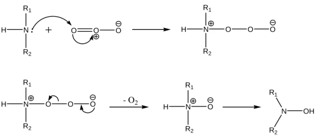 Figure I-19: Formation d'amine-N-oxyde et d'hydroxylamine par ozonation d'une amine. 
