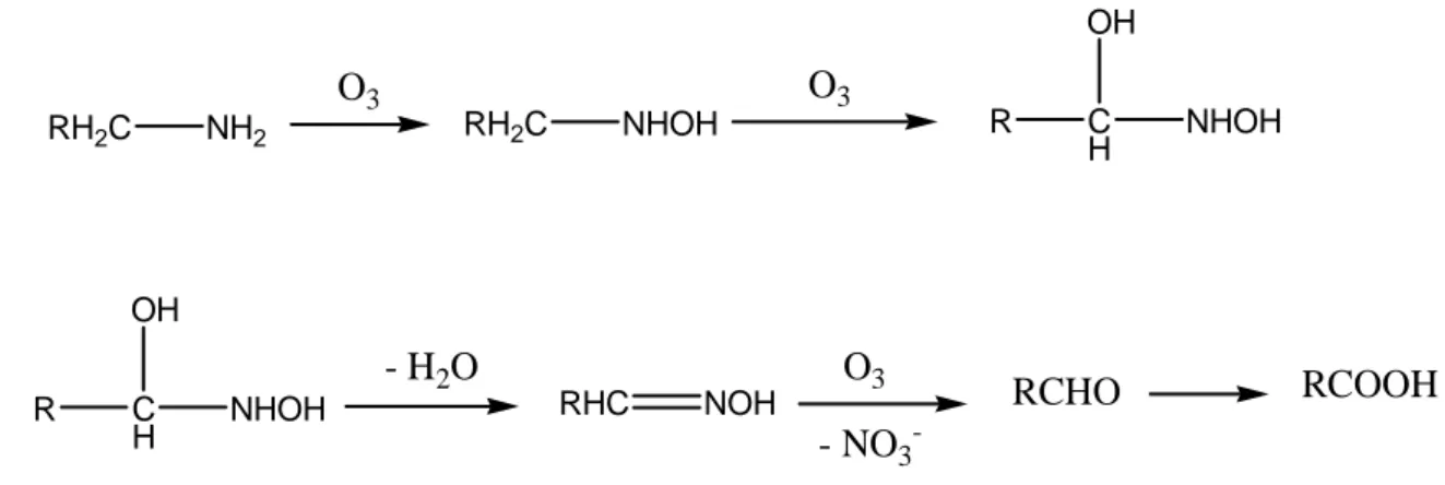 Figure I-20: Formation d'acide carboxylique par ozonation d'amine primaire et de son dérivé hydroxylamine  [Elmghari-Tabib, 1982]