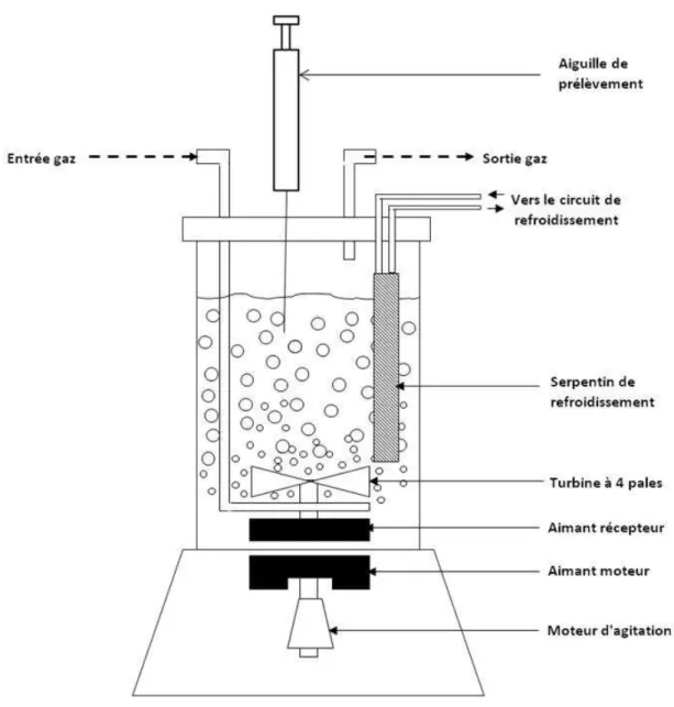 Figure II-3: Schéma du réacteur gaz-liquide semi-continu agité. 