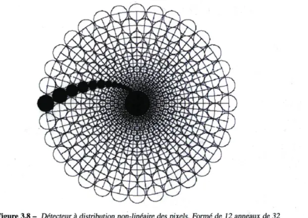 Figure 3.8 - Détecteur à distribution non-linéaire des pixels. Formé de 12 anneaux de 32  pixels chaque, où les pixels en noir suivent une spirale logarithmique