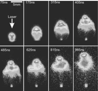 Figure II.5  ICCD  images  of  laser-produced  plasma  on  an  Aluminum  target  in  1.3  Torr  background air pressure [Harilal et al., 2003]