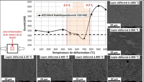 FIG. 5 – Duretés et microstructures des lopins déformés à différentes températures. 