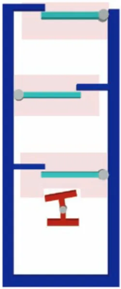 Figure 4.12: Illustration of Passive Zone of the bodies associated with passive parameters.