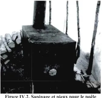 Figure IV.2. Sapinage et pieux pour le  poêle 