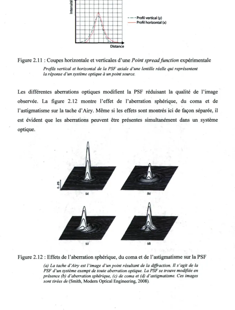 Figure 2.11 : Coupes horizontale et verticales d'une Point spread function expérimentale 