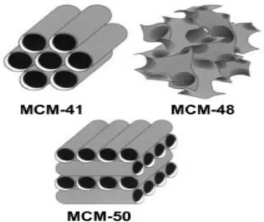 Figure  4.  Structure  of  MCM-­41  and  other  M41S  family  taken  from  Grecco  et  al